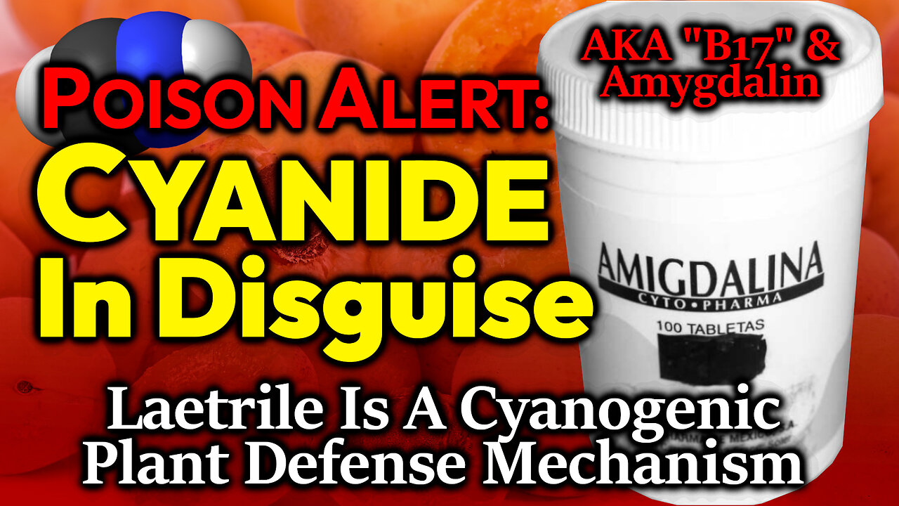 CYANIDE In Disguise: Toxicity & Cyanogenic Nature Of Laetrile/ B17/ Amygdalin Exposed. Poisonous!