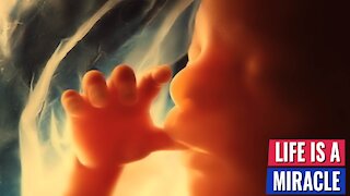 THE MOST STUNNING PRO LIFE ARGUMENT EVER