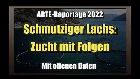 🐟 🤢 Schmutziger Lachs: Zucht mit Folgen (29.03.2023 ⎪ arte)