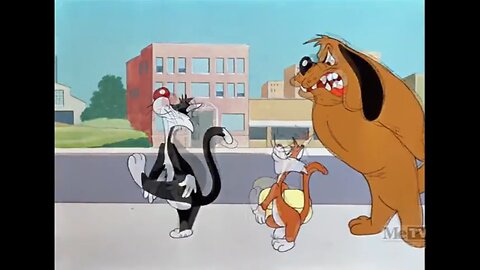 DOG GONE CATS 1947