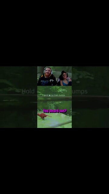 Too cool for Cat Friendship in Stray