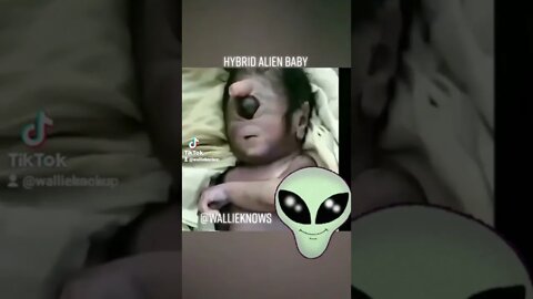 Hybrid Alien Baby