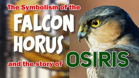 The Symbolism of the Falcon, Horus and the Story of Osiris