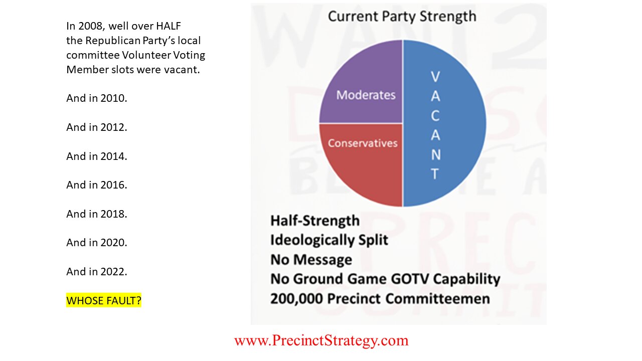 Precinct Strategy Will We the Good People Save America? Dan Schultz May 10 2023