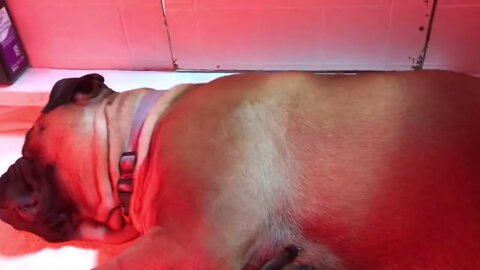 LonelyCreek Besty n new borns 714-22