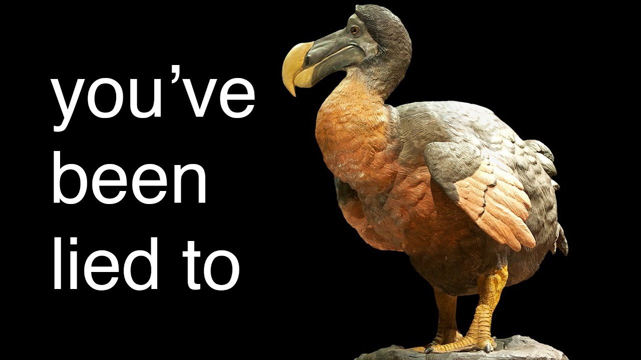 The REAL reason The Dodo Went Extinct