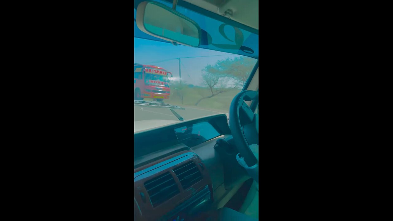 My Video