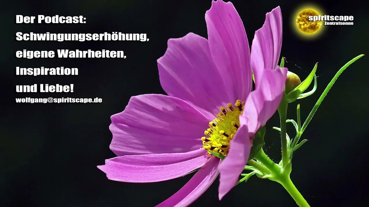 Alles wurde gesagt, aber noch nicht von jedem und noch nicht auf jede Art und Weise