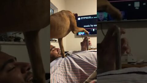Demanding Attention