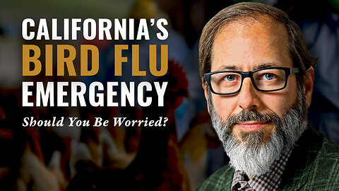 California's Bird Flu Emergency: Should You Be Worried?