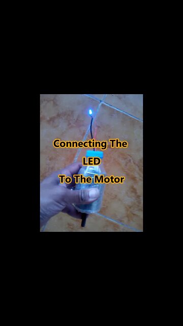 Hamster Wheel for The Chicken ??