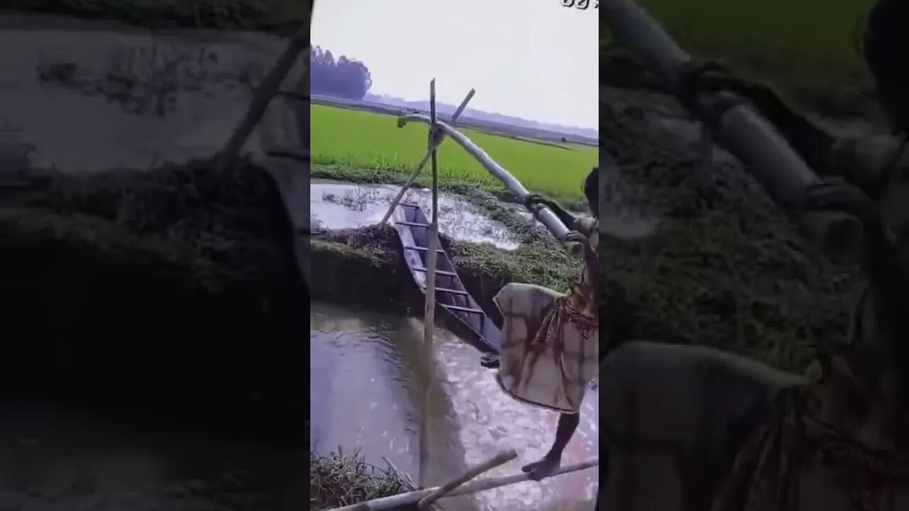 Simple but highly effective farming innovation