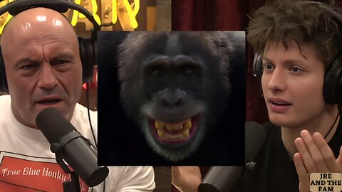 Joe Rogan & Matt Rife on Chimps Attacking Humans