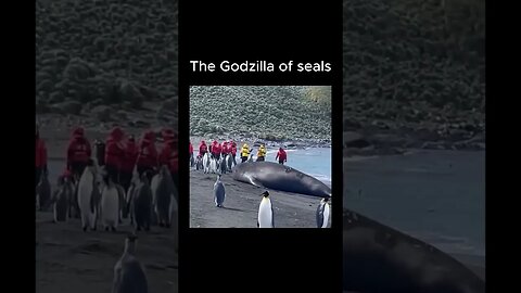 If those people get any closer, they are going to seal their fate 🥁
