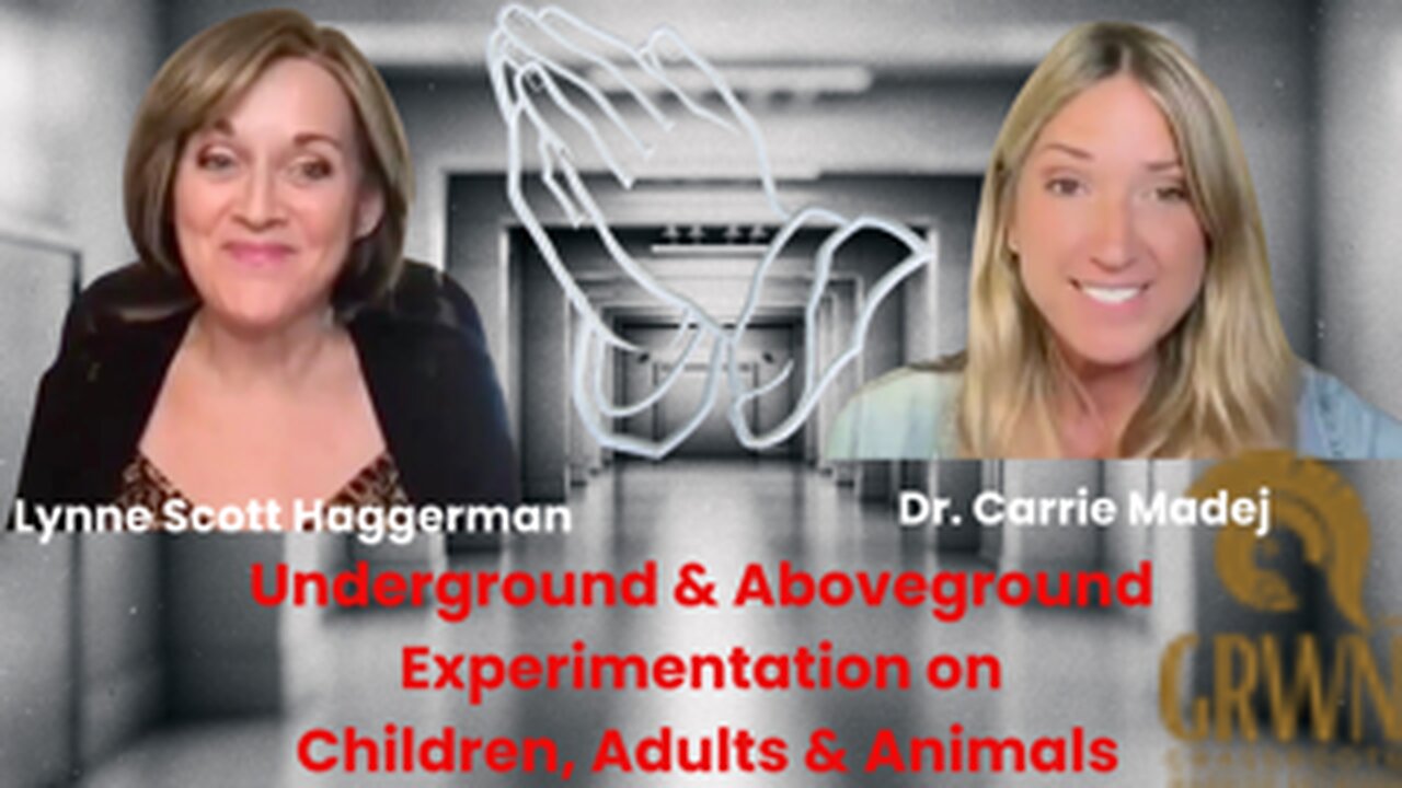 Dr. Carrie Madej Interviews Lynne Scott Haggerman on Tribe Talk