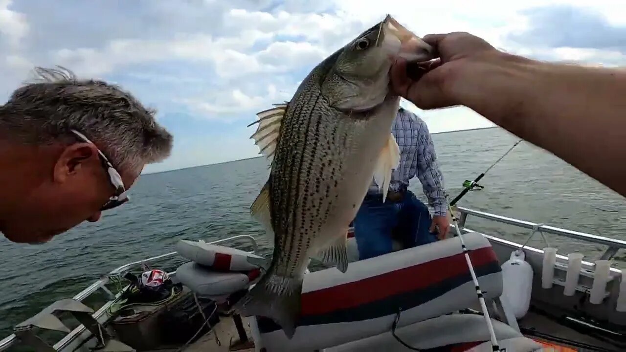 Fishing for filets, sand bass, hybrid striped bass, white bass