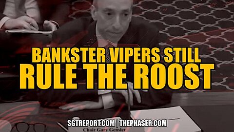 Bankster Vipers Still Rule The Roost