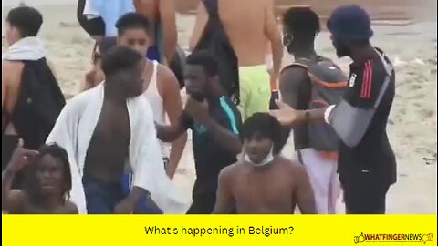 What's happening in Belgium?
