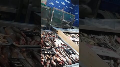 largest Supper shop in Bangladesh, Video Part -01.