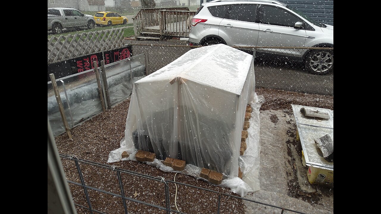 Protecting Our Onions From Snow And Frost 3/18/24