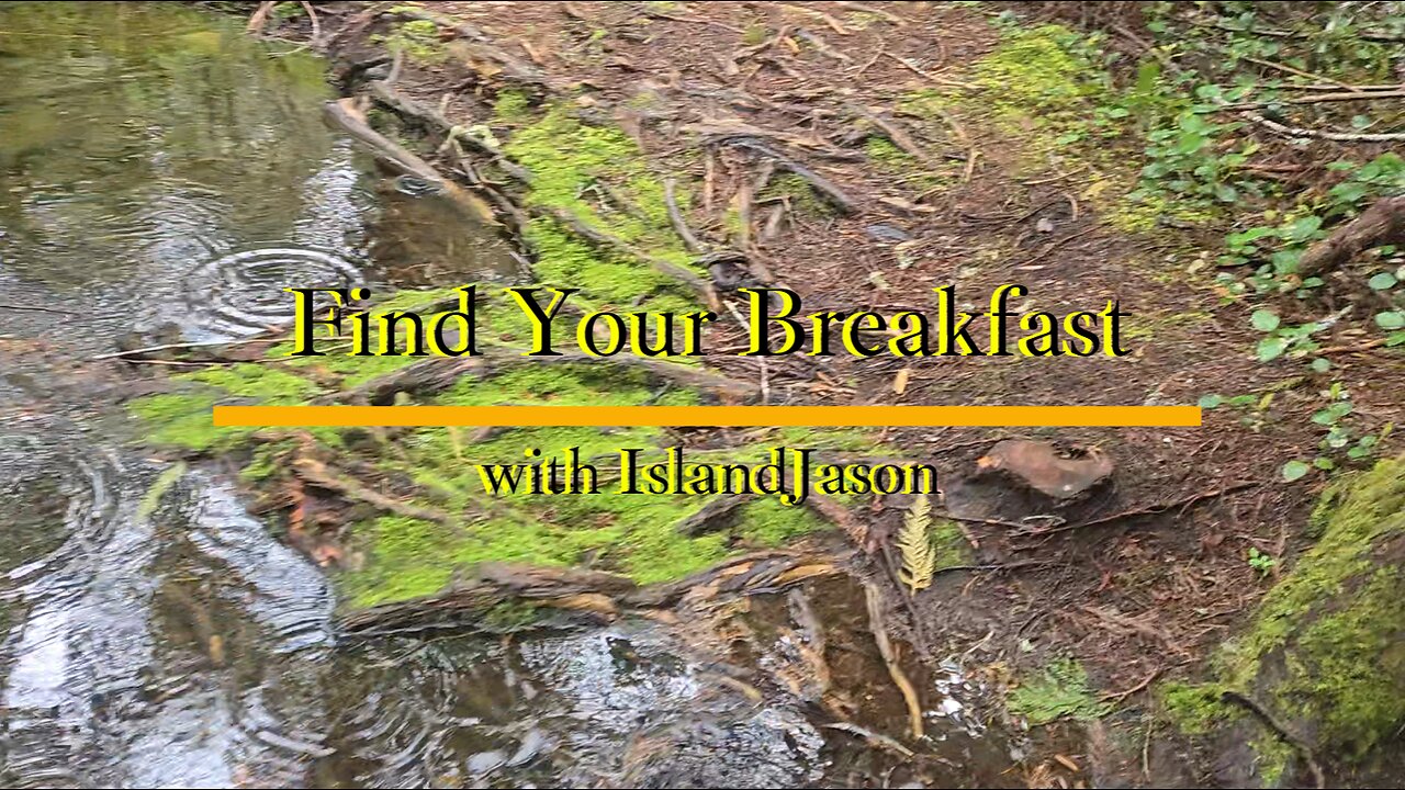 Find Your Breakfast with IslandJason