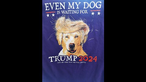 Golden Retriver waiting for Trump in 2024 elections