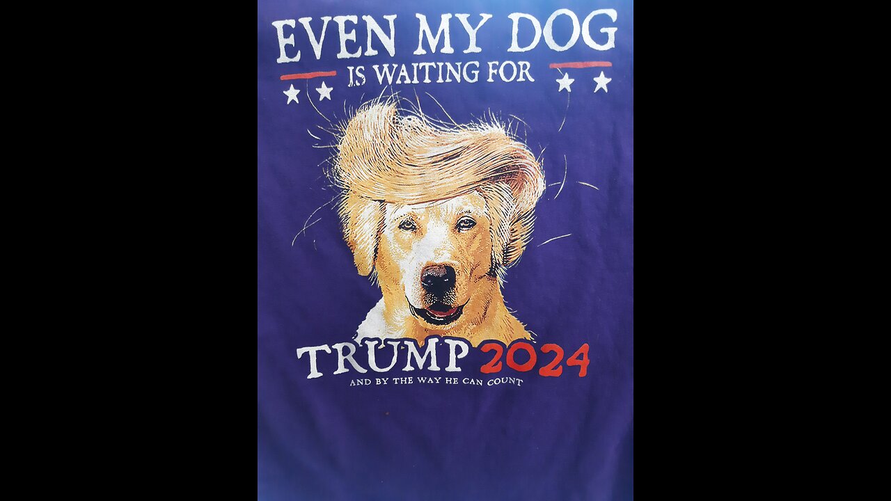 Golden Retriver waiting for Trump in 2024 elections