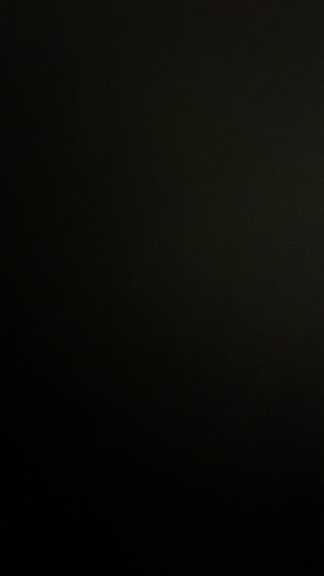 Biden is owned by China!