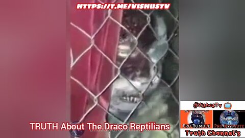 TRUTH About The Reptilians... 🐍 #VishusTv 📺