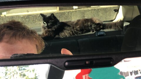 Old April 11th 2021. In Car With Cat Thomas