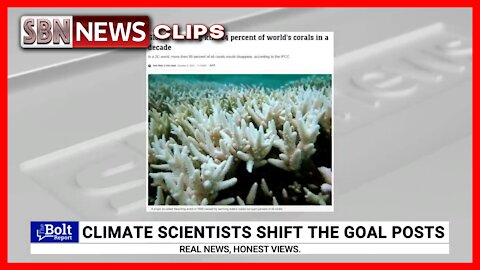 Great Barrier Reef’s Record Coral Cover Isn’t the Story Scientists ‘Want to Talk About’ - 4390