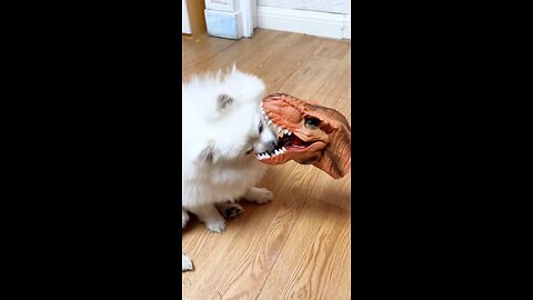 🐶🦖
