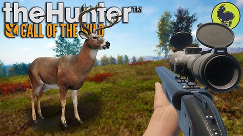Shots for Bucks, Hunt Club Beta | theHunter: Call of the Wild (PS5 4K 60FPS)