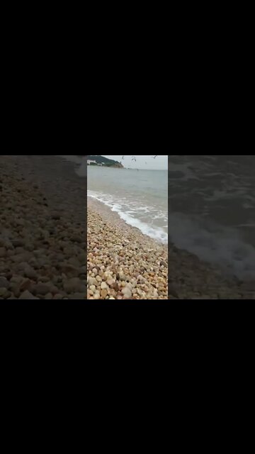 Nature beauty.! #shorts #subscribe #whatsappstatus #status #viral