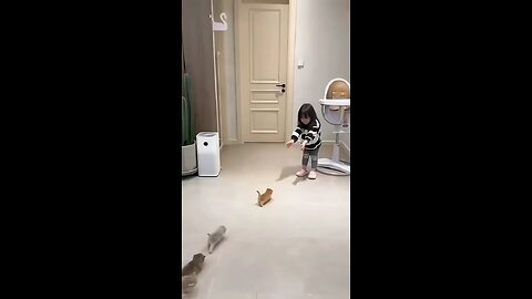 Cute little girls and cats