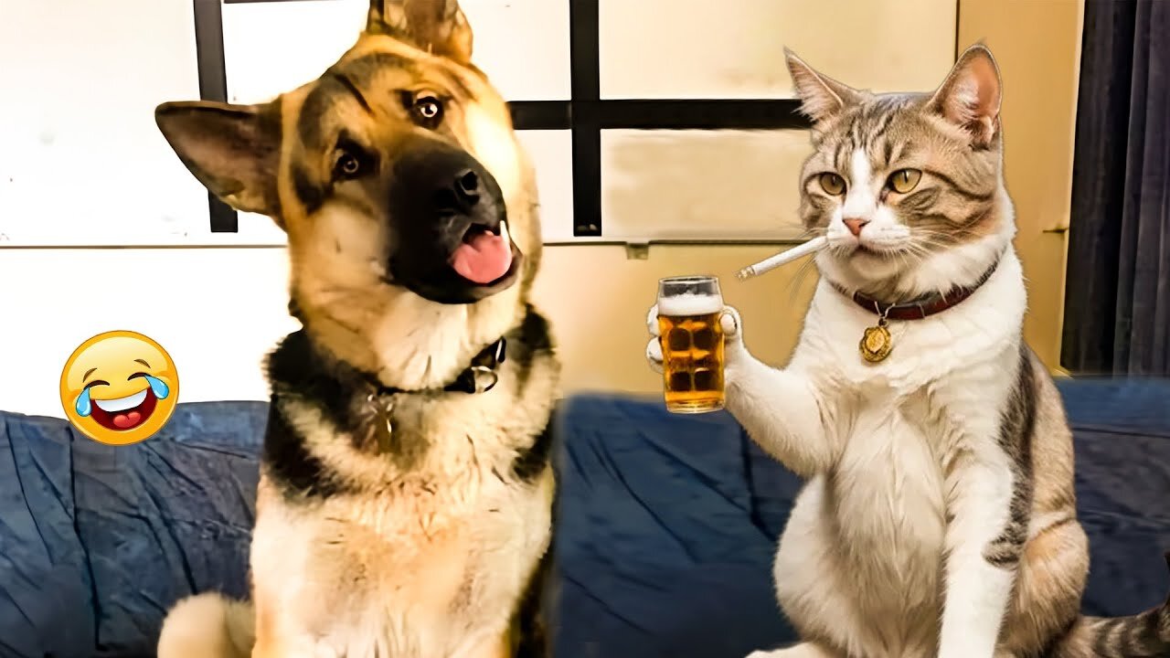 Laugh Till You Cry With These Funny Animal Videos! 😹🐶| Best Animal Videos 2025