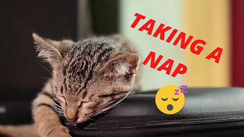 TAKING A NAP