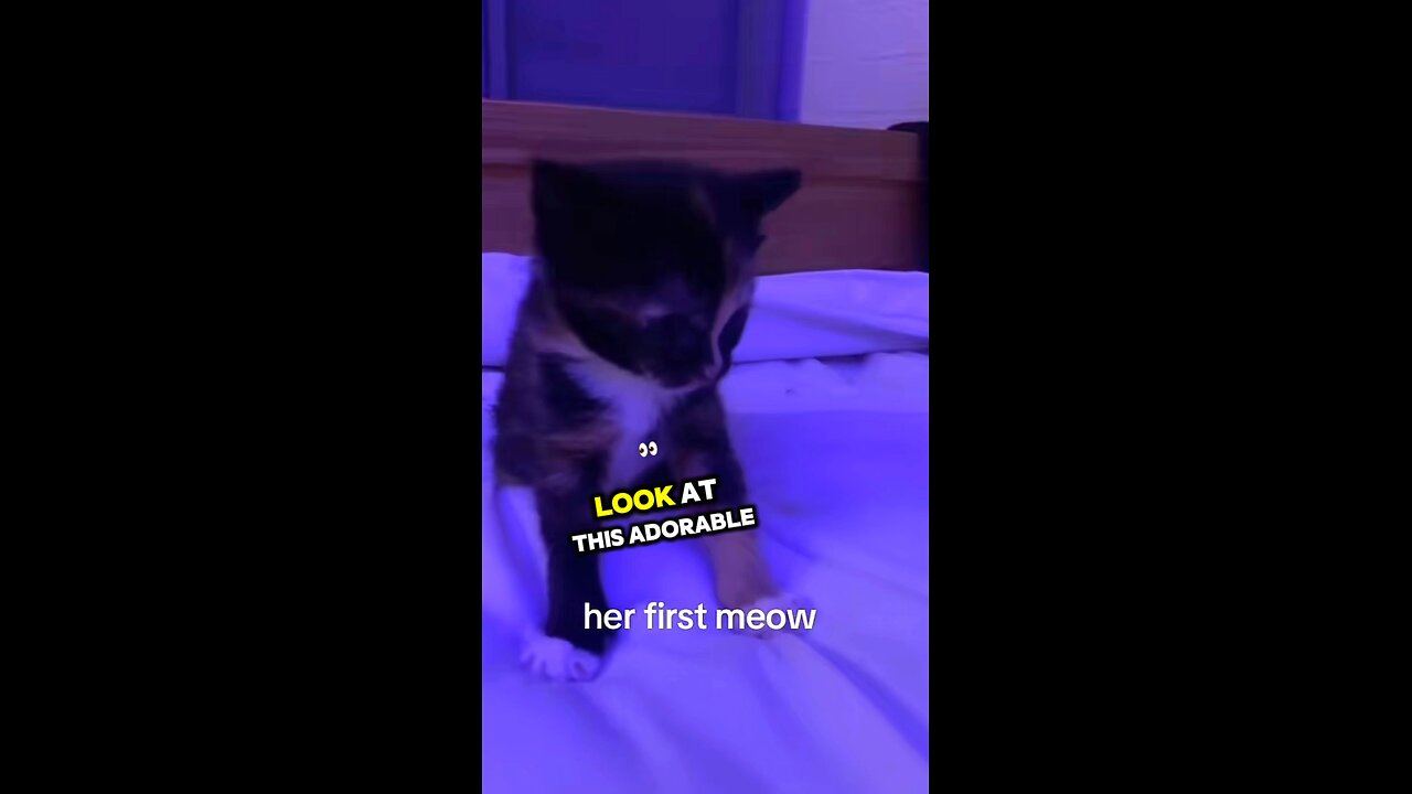 her first ever meow🥹