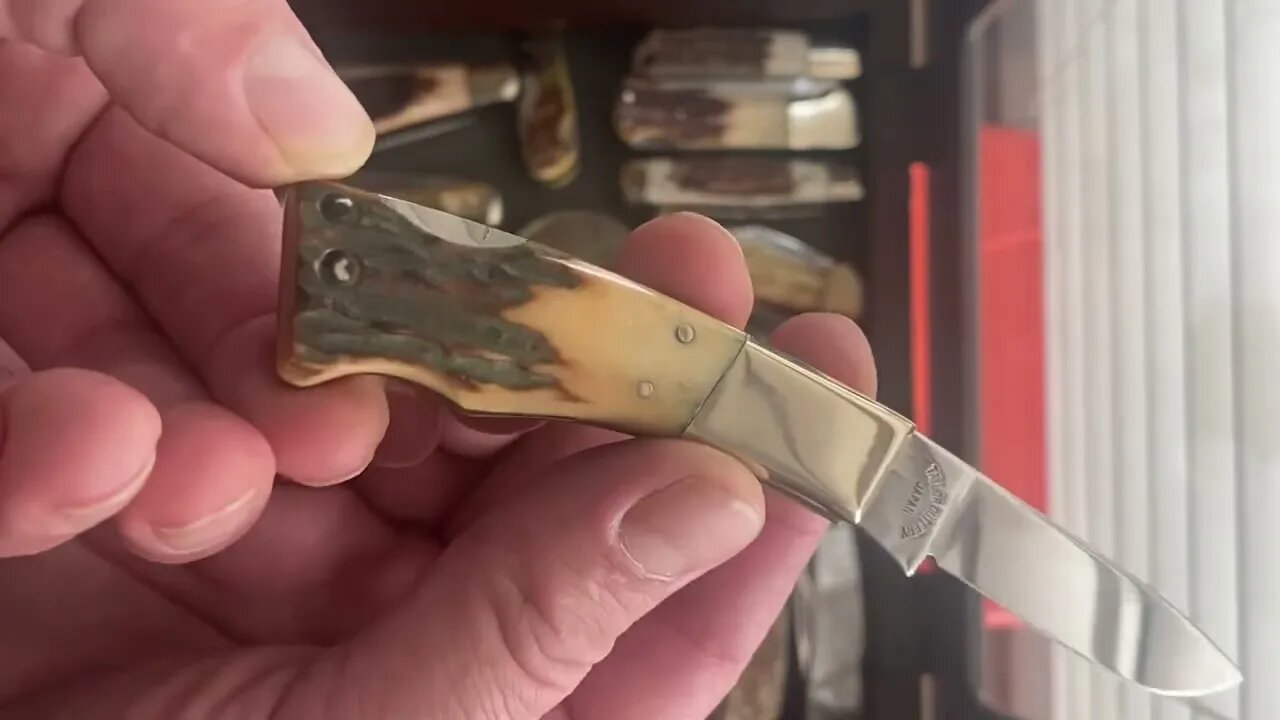 Do you like Stag? Taylor Elk Horn Japan Pocket Knives