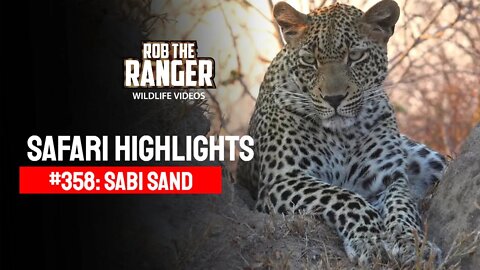 Safari Highlights #358: 12 - 15 August 2015 | Sabi Sand Wildtuin | Latest Wildlife Sightings