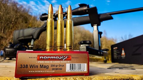 338 WIN MAG - Sighting in with Norma Oryx
