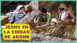 JESUS EN LA CIUDAD DE ARGOB -CAPITULO 169 - VIDA DE JESUS Y MARIA POR ANA CATALINA EMMERICK