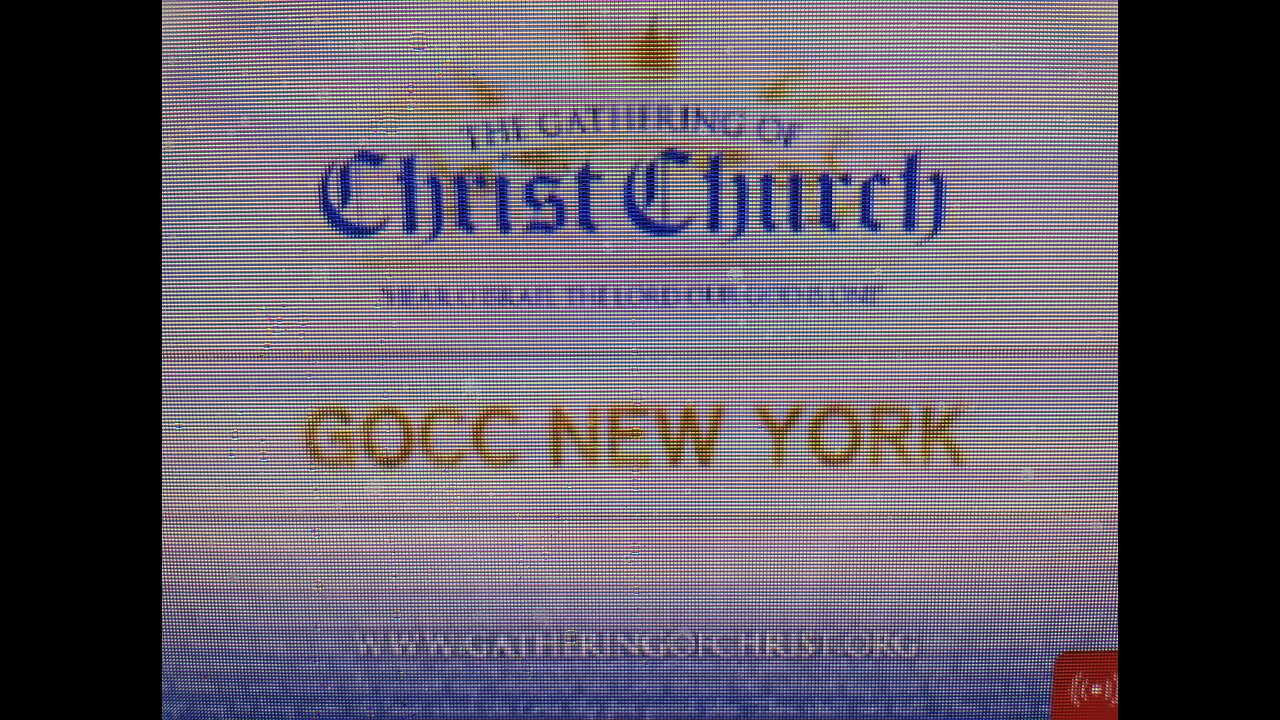 GOCC IS A GROUP OF FALSE PROPHETS SIMPING FOR WOMEN & SHAMING MEN ON POLYGYNY! BEWARE OF THEM