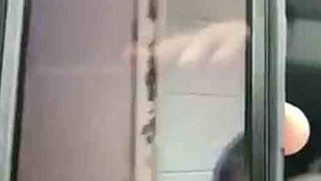 Roaches Caught On Cam At Local Middle School