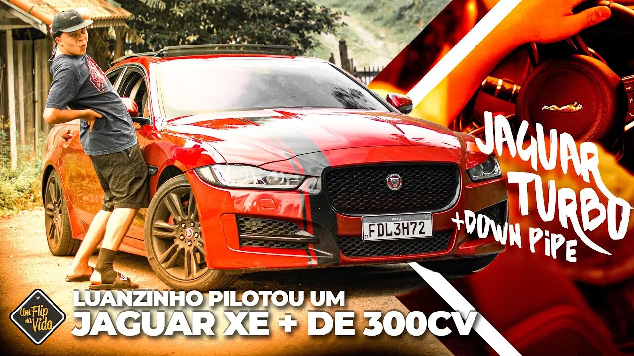 DEI UM JAGUAR NA MÃO DO LUANZINHO E ME ARREPENDI KKKKKK