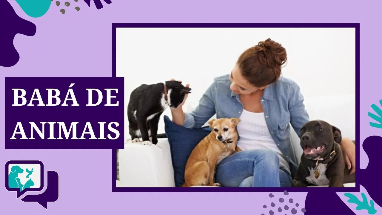 BABÁ DE CACHORRO - A profissão do momento PET SITTER