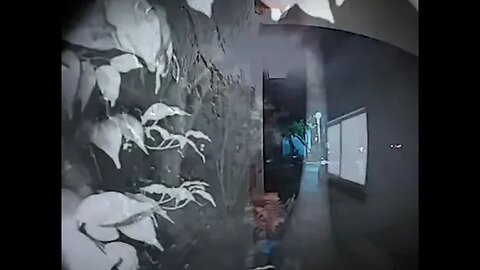 The Creepy Man