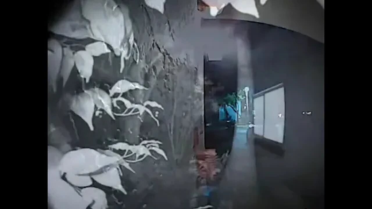 The Creepy Man