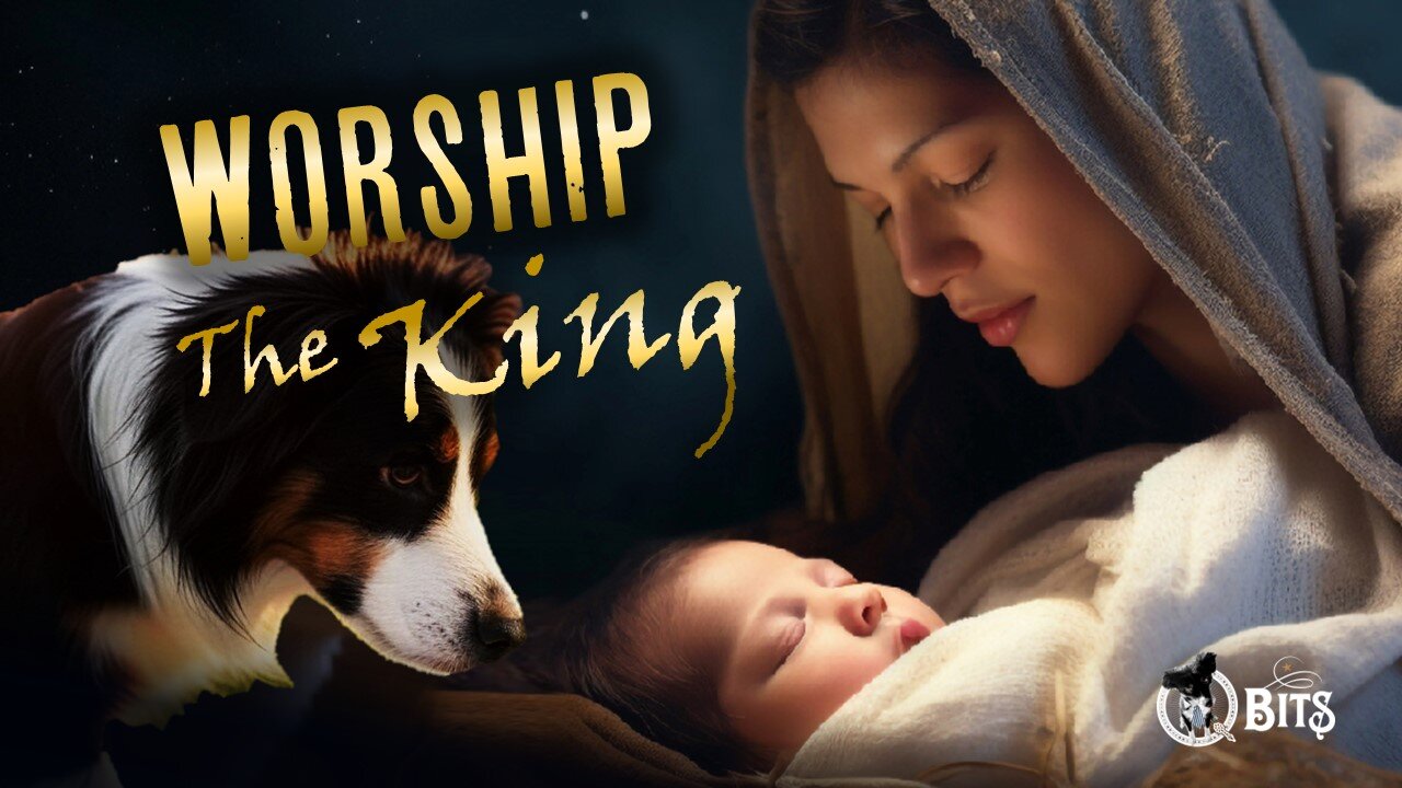 #964 // WORSHIP THE KING - LIVE