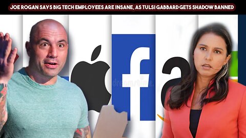 Joe Rogan Says Big Tech Employees Are Insane, As Tulsi Gabbard Gets Shadow Banned